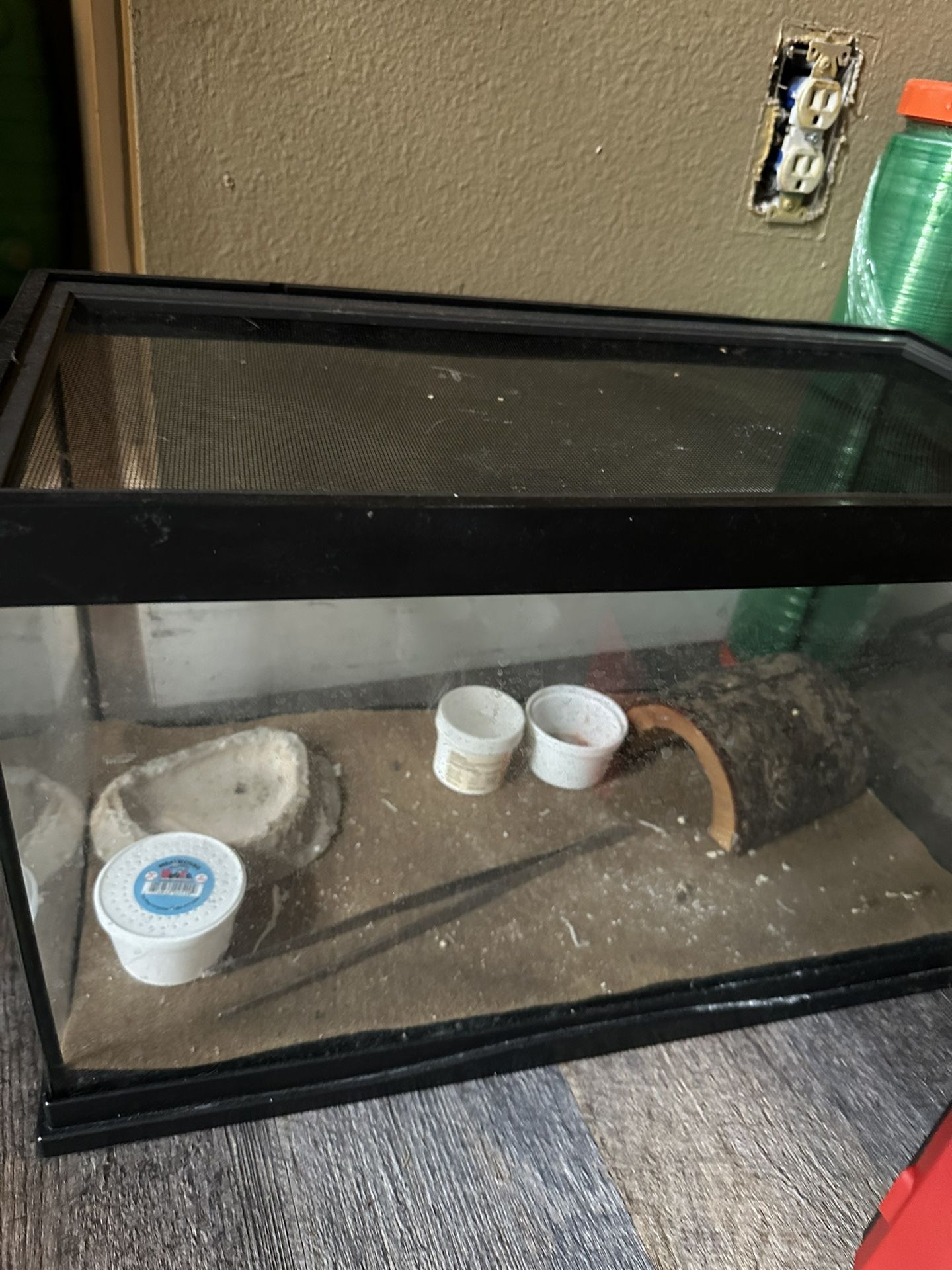 Lizard Tank 