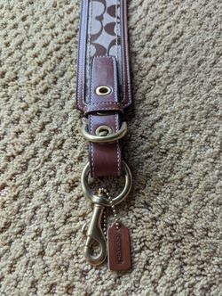 Coach Signature Belt 