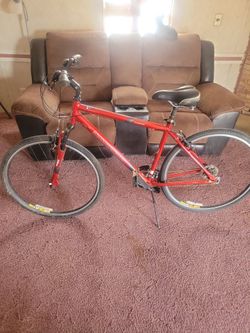 Diamondback Edgewood Large 19" Bike 