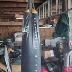 Everlast Boxing Bag - 80 Lbs