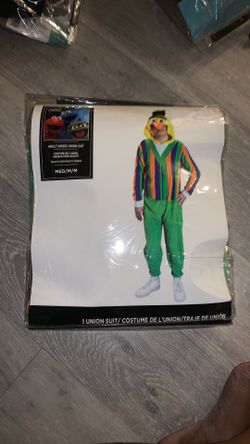 Adult M Bert Halloween costume