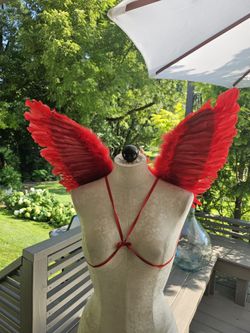 Red Feather Butterfly / Angel Wings