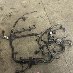 2013-17 Honda Engine Harness 