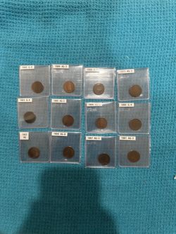 Make me an offer Indian Head Cent Lot 12 Coins 1873–1906