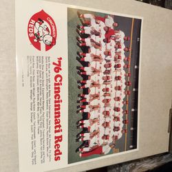 1976 CINCINNATI REDS 8X10 OFFICIAL TEAM PHOTO BASEBALL PICTURE MLB ROSE Bench 
