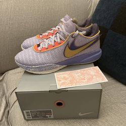 Nike Lebron 20 Purple Violet New Size 10.5