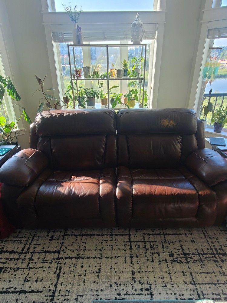 Free Power Dual Recliner