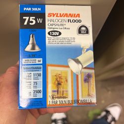 Halogen Flood Lighbulb