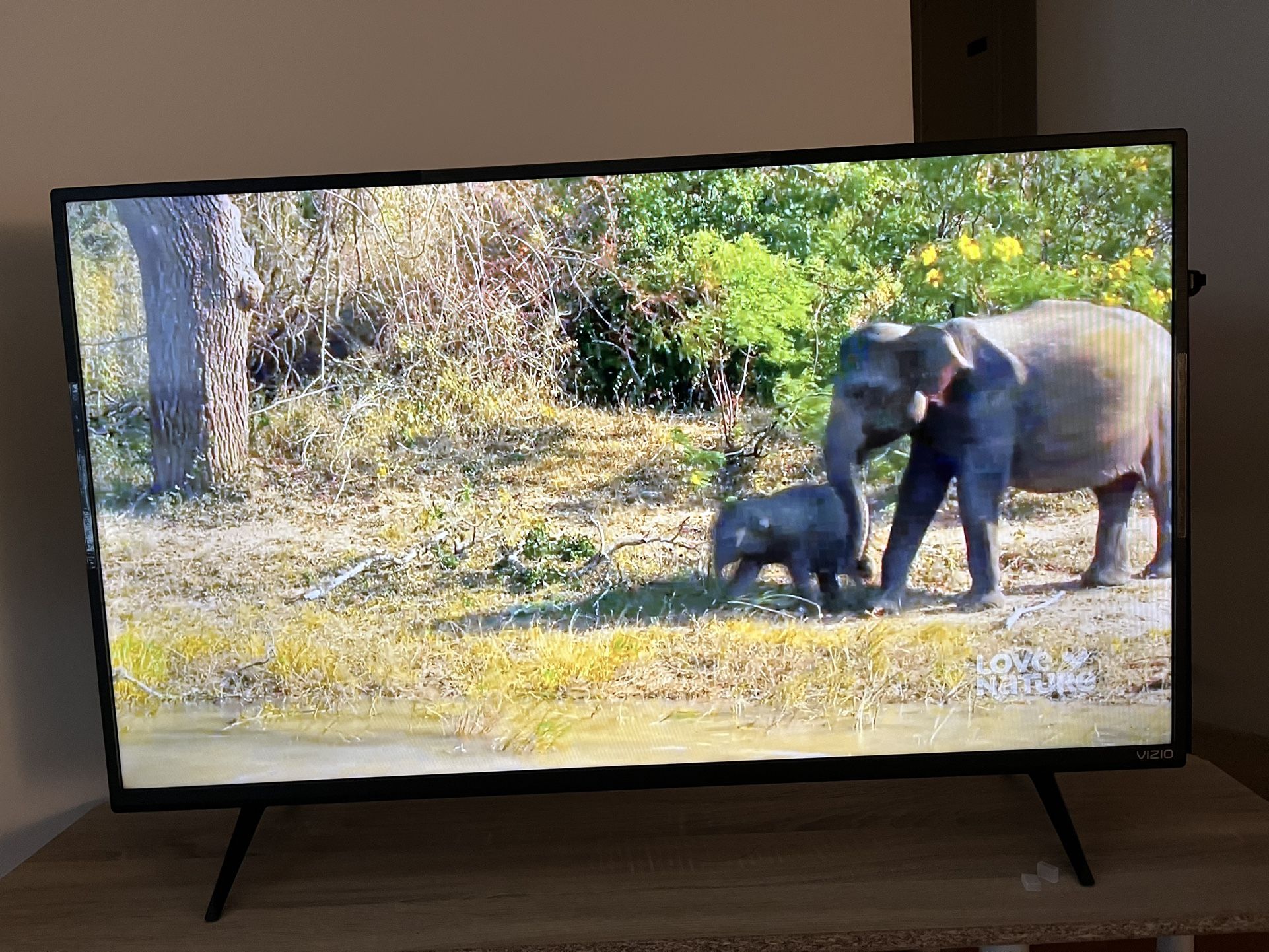 Vizio TV