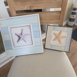 Starfish Pictures