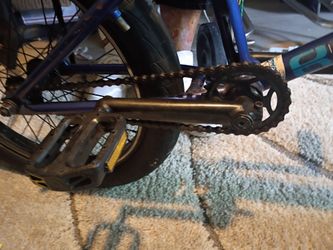 Eastern Griffin Bike