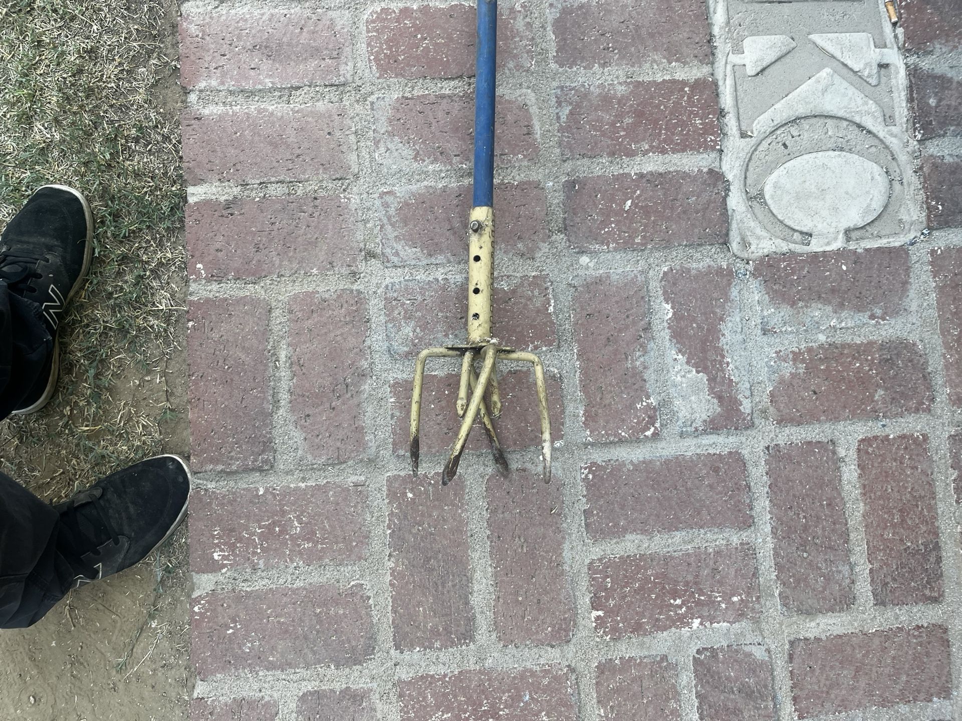 The Claw