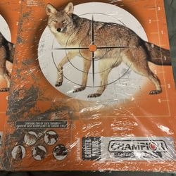 Outdoor Game Targets