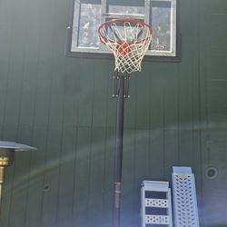 Lifetime Basketball Hoop