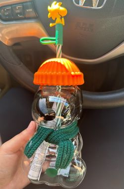 Starbucks x Peanut Snoopy Pumpkin Glass – Limited Edition