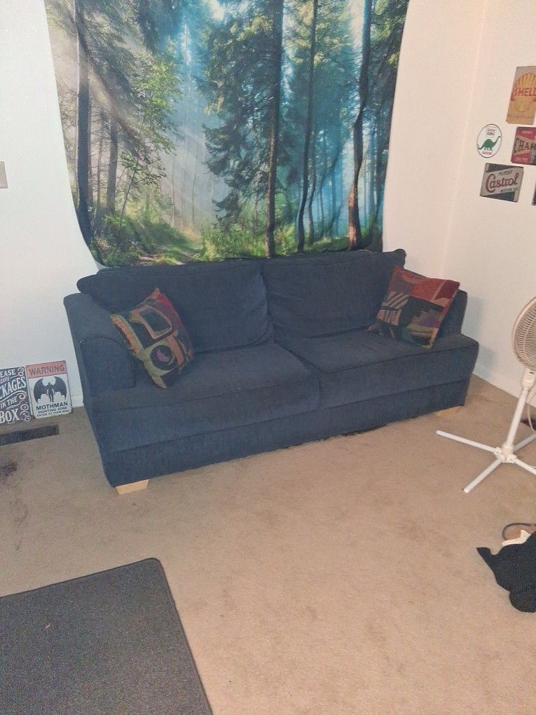 Midnight blue couch. Pick up only.