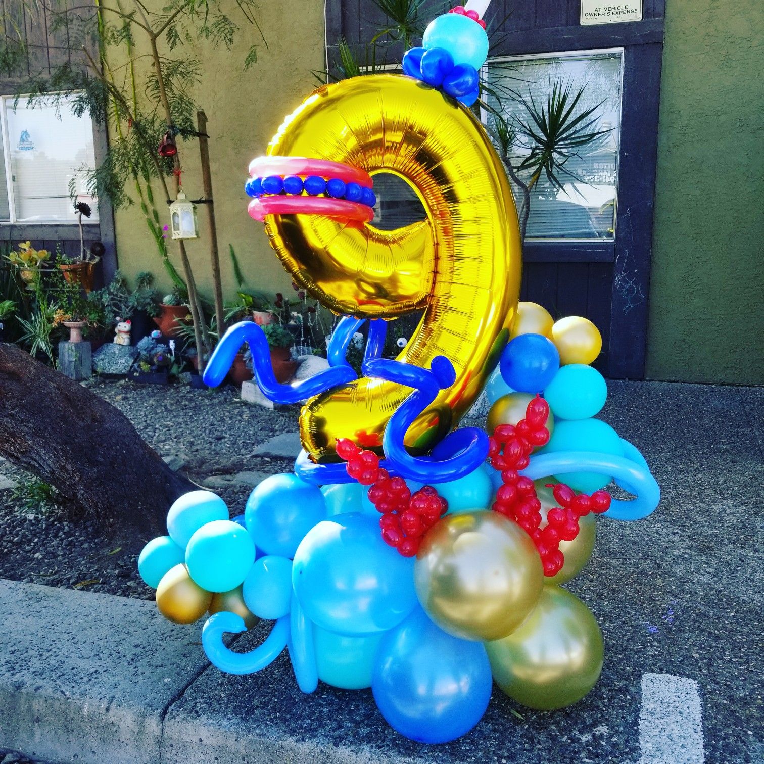 Balloon bqt