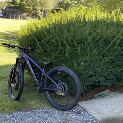 Trek Roscoe 8 MTB