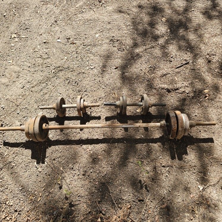 Barbell + Dumbells With Weights