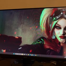 Acer Monitor 