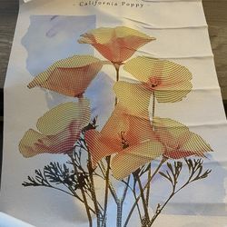 California poppy Print. 
