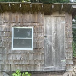 Chicken Coop 