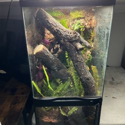 12x12x24 Bioactive Terrarium 