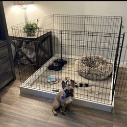 Safe & Cozy Pet Heaven 