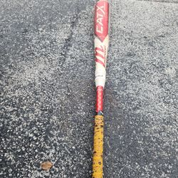 Bat