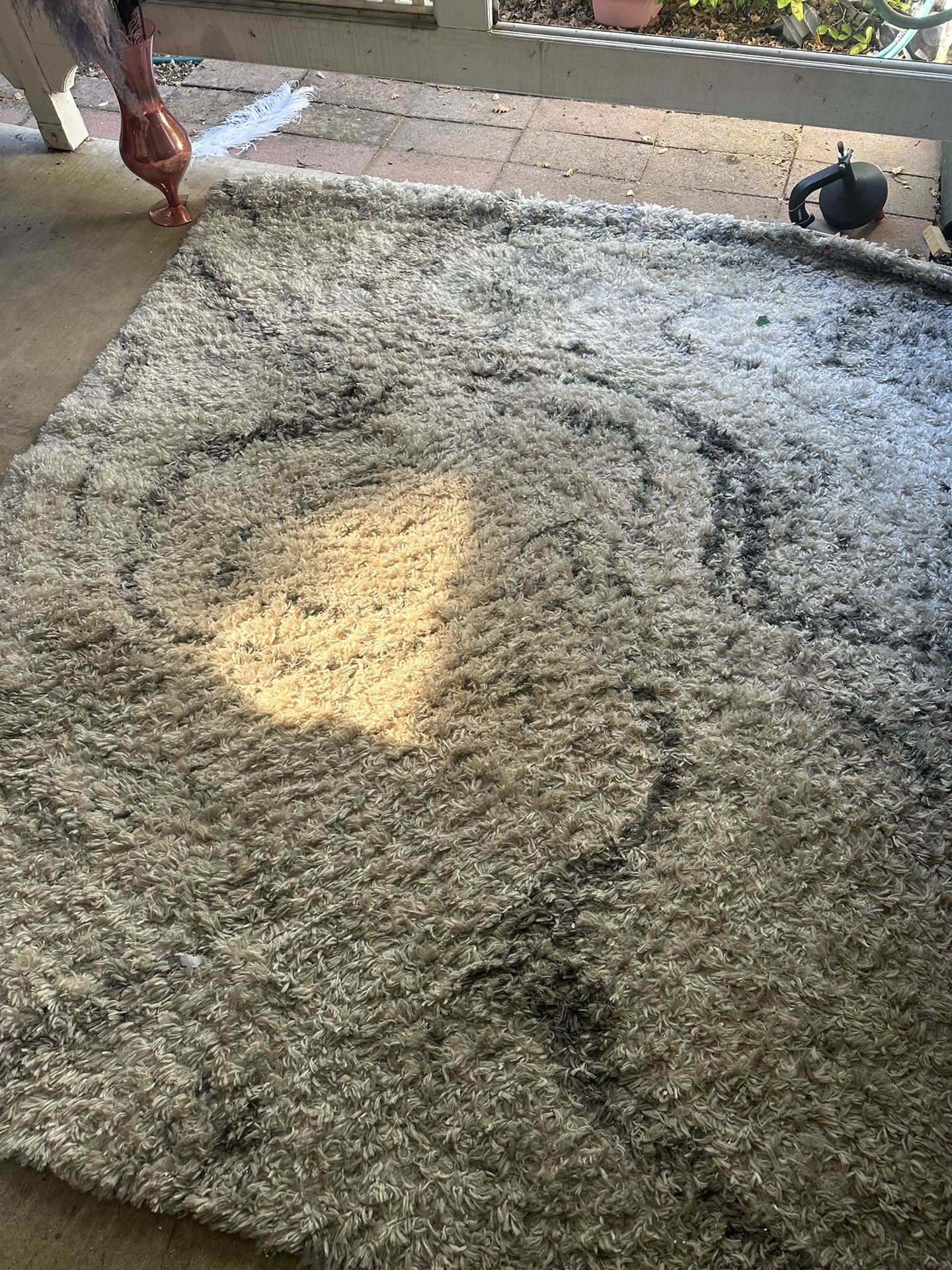 Large Shag Rug