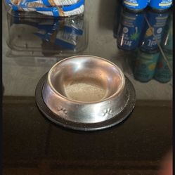 Kitten Water Bowl