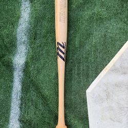 Baseball bat Trainer.  