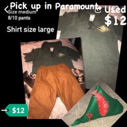 Peter pan costume