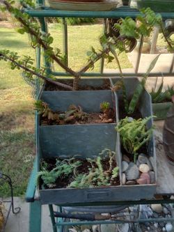 File Cabinet Plant Holder