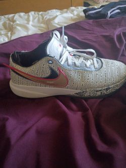 LeBron  20 (XX)