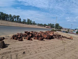 Cut Wood Logs Large Pile