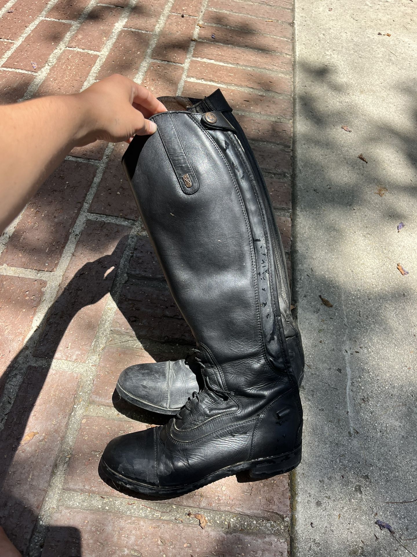Tredstep Donatello Junior English Tall boots COMES WITH ORIGINAL BOX