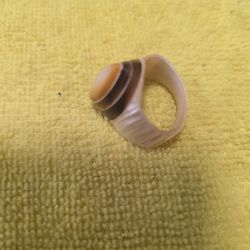Anillo De Concha Marina 