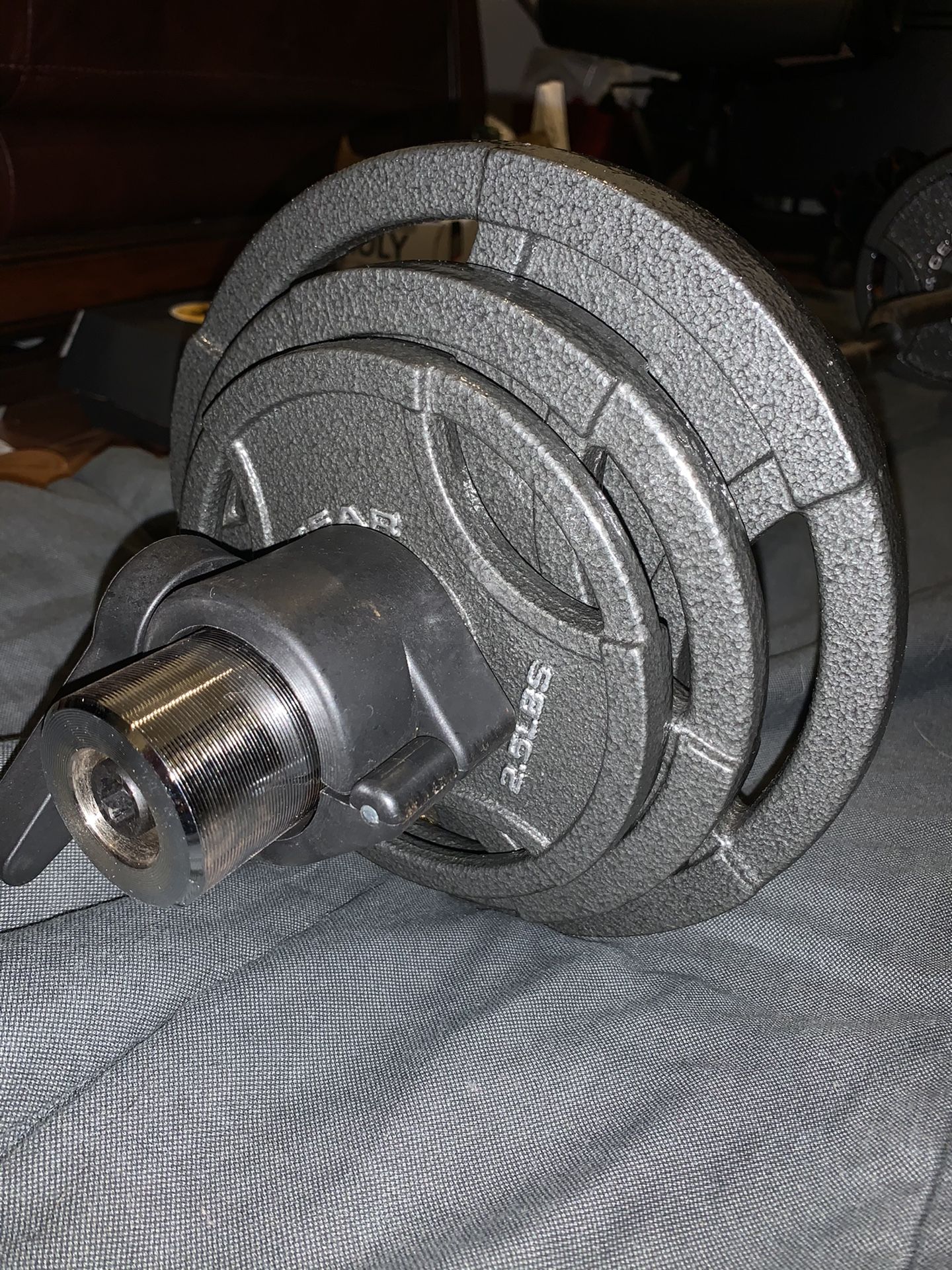 35LB WEIGHT PLATES WITH CURL BAR