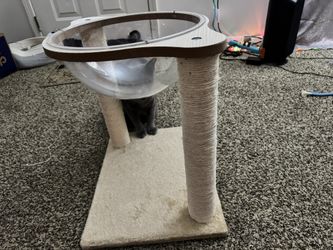Cat Scratching Post / Bed 