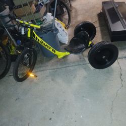 Adult Trike
