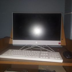HP All-in-One 22