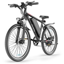 Electric Adult Bike 