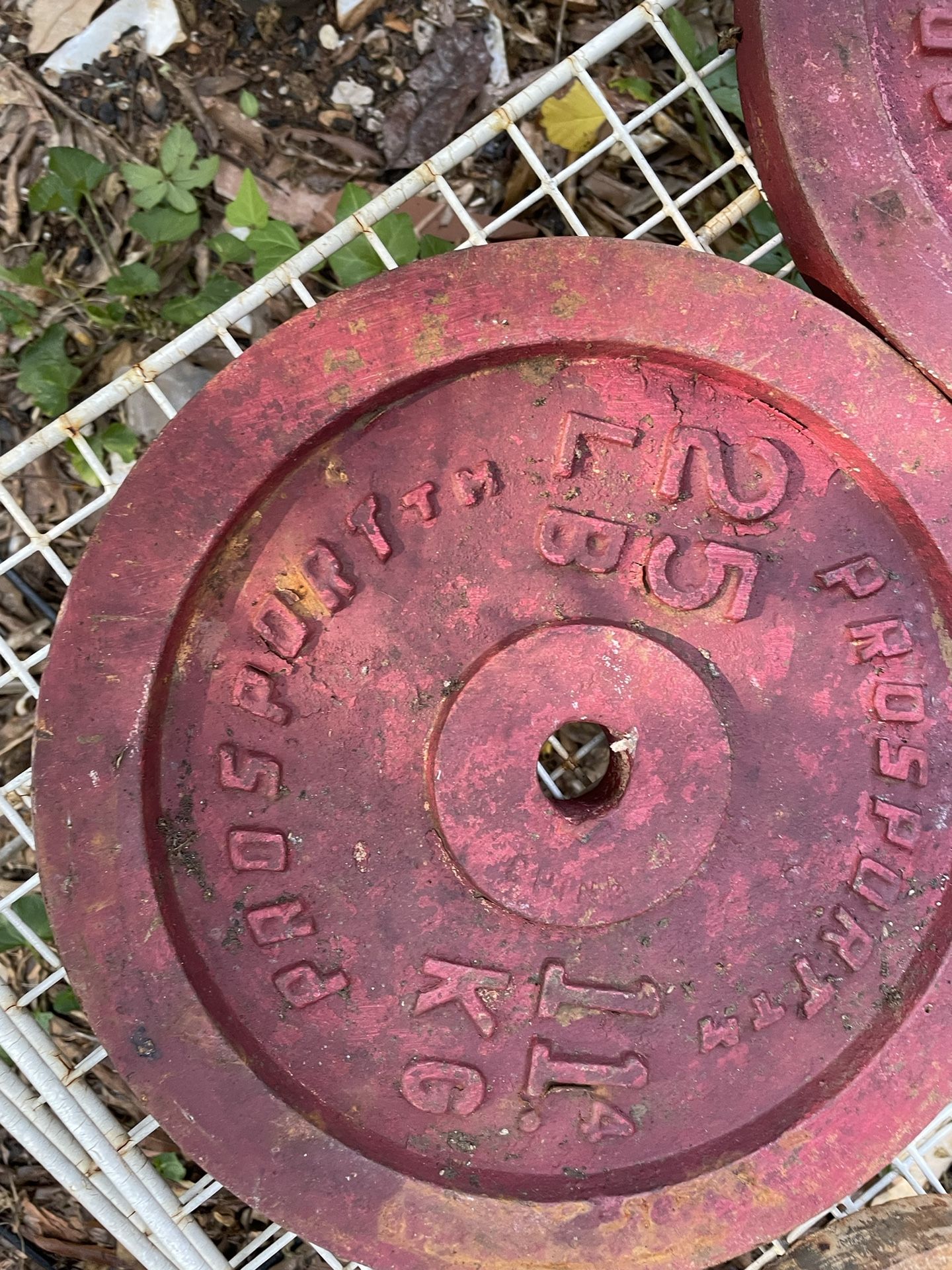 60 LB Weight