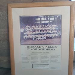 The Brooklyn Dodgers 