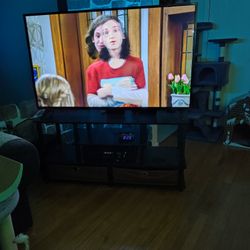 55" Tv, With Stand, Audio System, Fire Stick. 