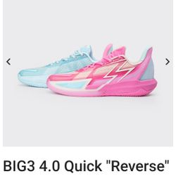Big3 4.0 Quick Reverse VOLLEYBALL shoes