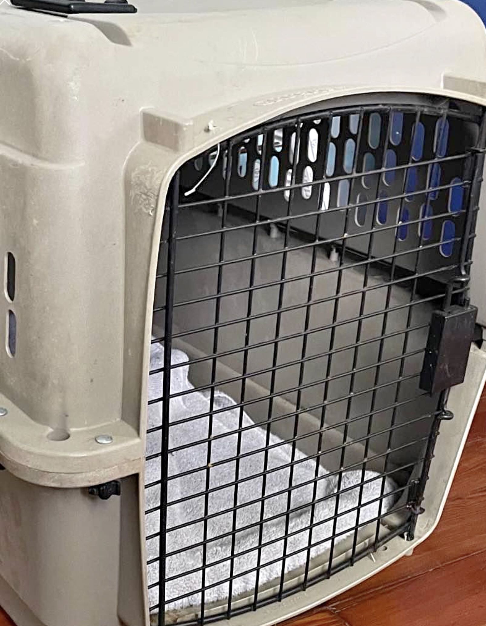 x- large dog crate