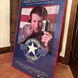 Robin Williams Movie Poster