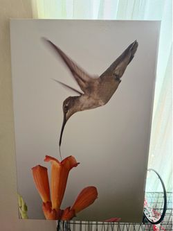 Large canvas picture